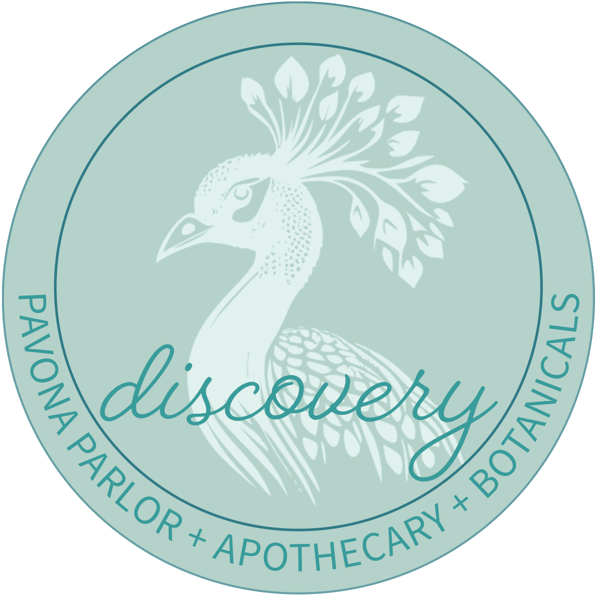 begin your discovery